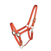 Country Legend Soft-Touch Halter - FG Pro Shop Inc.